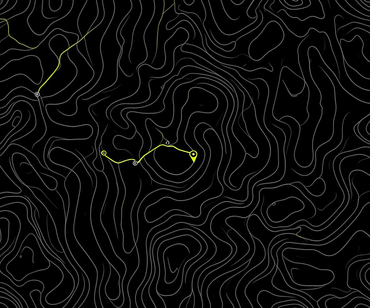 Topographic map with a plotted route line and waypoints